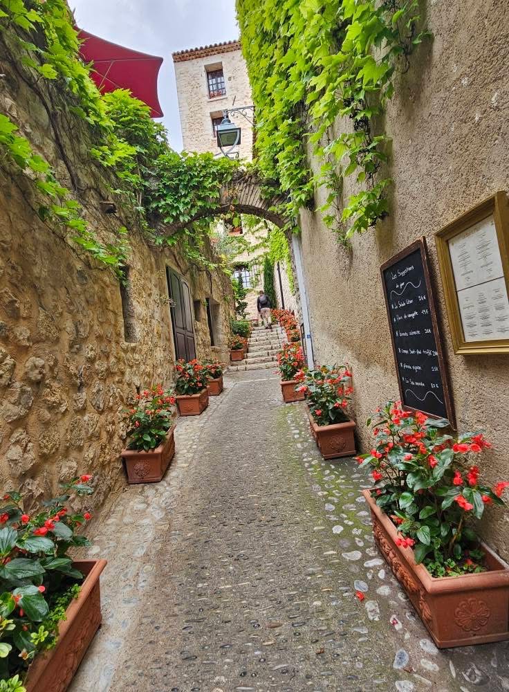 Cruise Brothers Travel Agent william Carmley